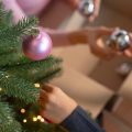 Protege tu Navidad: pasos para almacenar adornos libres de plagas con Zoom